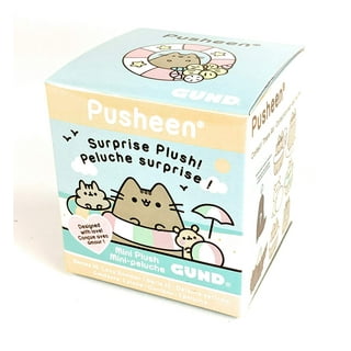 Surprise Pusheen Box