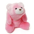 thumbnail image 1 of Gund Snuffles Pink 10" Bear Plush, 1 of 1