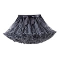 thumbnail image 1 of Gunia Girls Tutu Skirt Baby Soft Mesh Bowknot Princess Birthday Party Skirts For Kids Toddler Girls Grey 3-5 Years, 1 of 2