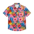 thumbnail image 1 of Gunia Kids Hawaiian Shirt Toddler Boys Versatile Comfortable Shirt Everyday Wear Lightweight Everyday Tops Boys T-Shirts Pink 2-3 Years, 1 of 4