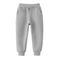 thumbnail image 1 of Gunia Toddler Sweatpants For Boys Girls Casual Fall Winter Long Pants Sports Elastic Children Pants Trousers Light Gray 2-3 Years, 1 of 3