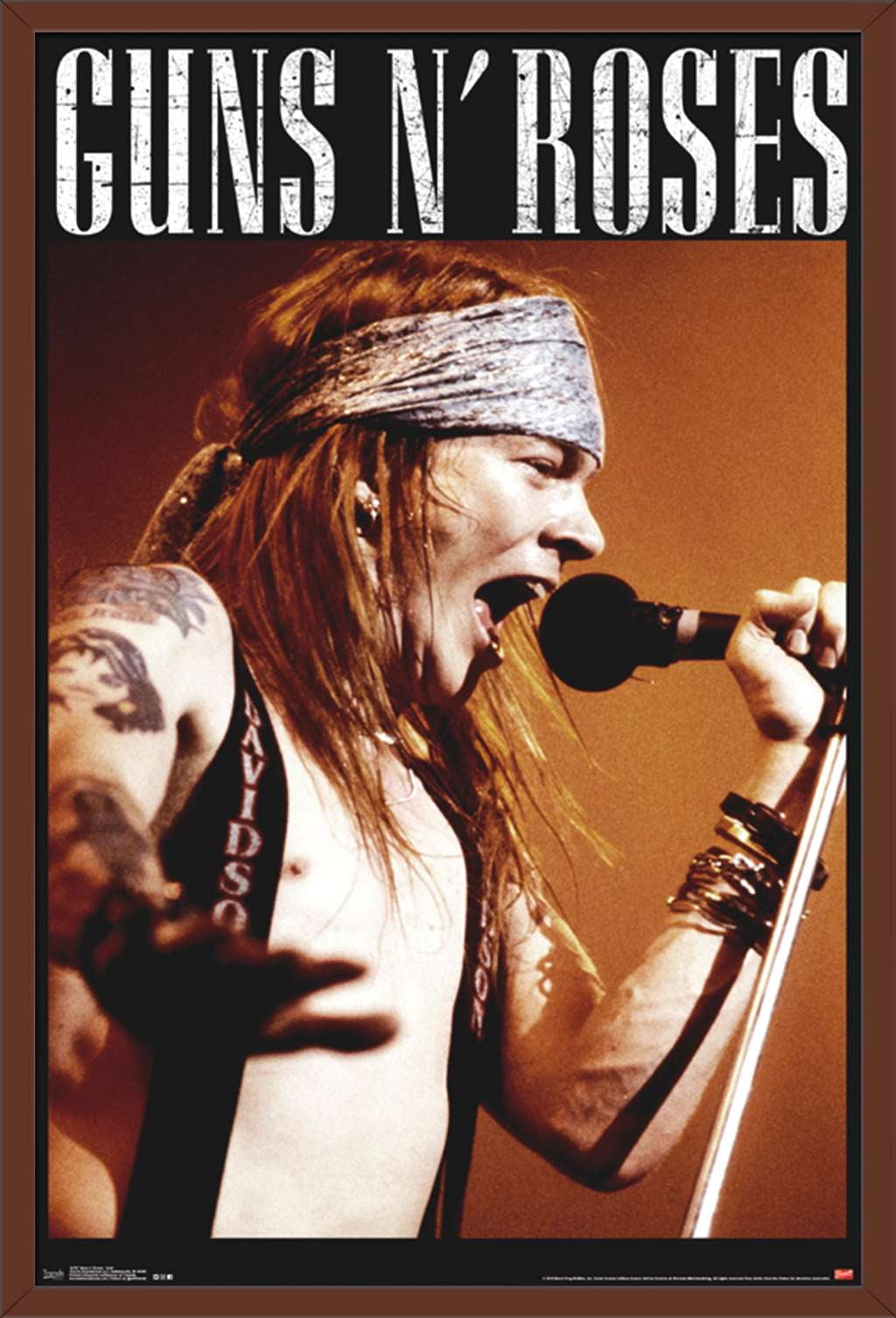 Guns N' Roses - Axel - Walmart.com