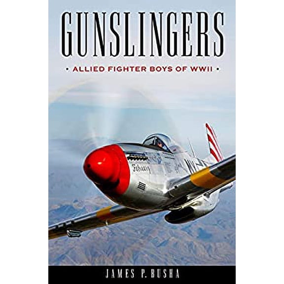 Pre-Owned Gunslingers: Allied Fighter Boys of WWII (Hardcover) 1493063693 9781493063697