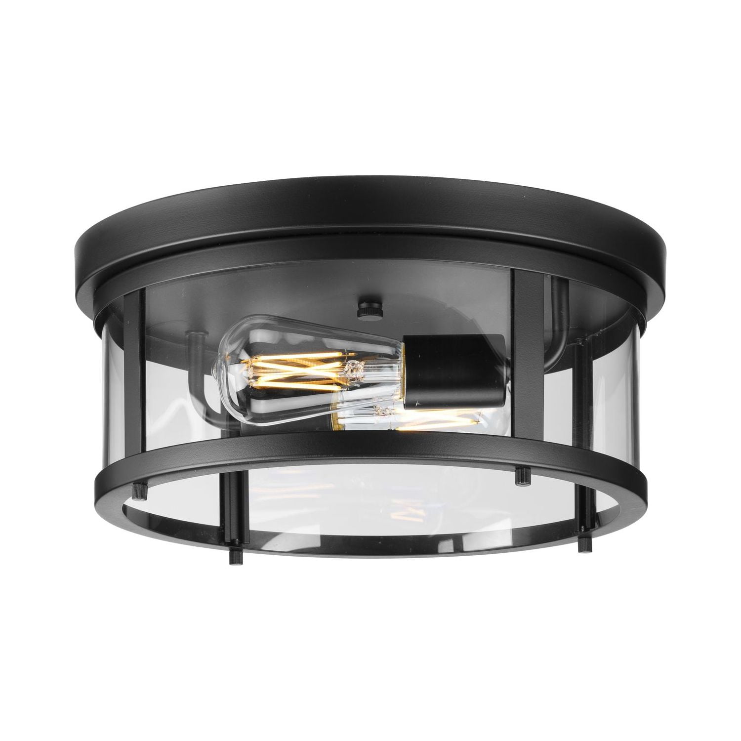 Gunther Matte Black Glass Drum Indoor/Outdoor Flush Mount Light