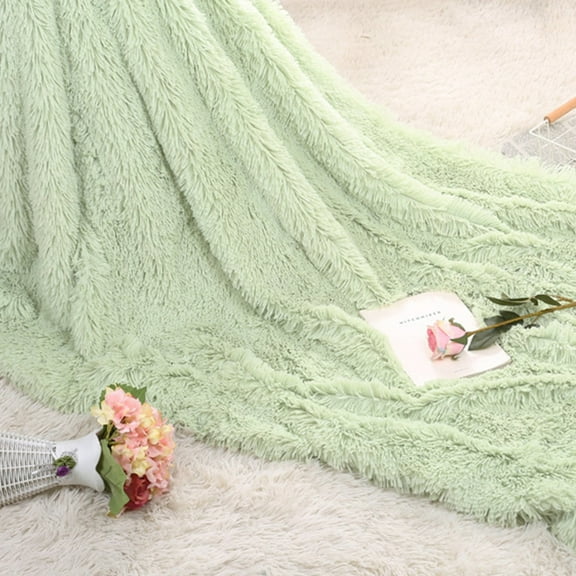 Guopo Bed Blankets Queen Size Soft Warm Shaggy Faux Throw Blanket Sofa Double Bed Blanket Mint Green