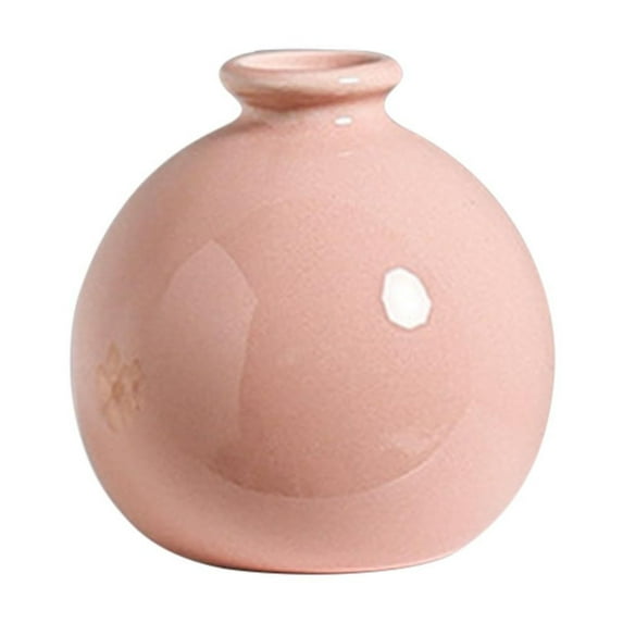 Guoxxzi Home Essentials for New Home, Home Decor Living Room Foyer Decorations Soft Furnishings Dried Flowers Hydroponic Vases