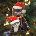 thumbnail image 1 of Guozer Christmas Tree Cats Pendant 2D Acrylic Christmas Hanging Decoration Funny Christmas Cats Ornament Christmas Pendant Decoration Christmas Tree Jewelry, 1 of 3