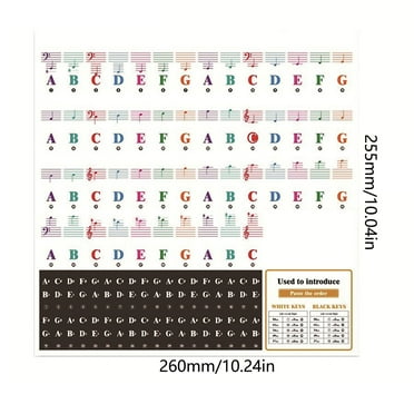 Guozer Clearance Removable Transparent Piano Sticker 1Set Keyboard Piano Sticker For Beginners Piano Notes Guide Sticker 25/49/61/76/88 Key Sticker