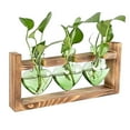 thumbnail image 1 of Guozer Clearance Wall Planters for Indoor Hydroponic Plant Propagation Stations Glass Vase with Wooden Stand, 1 of 2