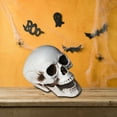 thumbnail image 1 of Guozer Realistic Plastic Skull Skeleton Head Prop for Halloween Party Decor Spooky Halloween Decoration for Indoor Outdoor Yard Bar, 1 of 5