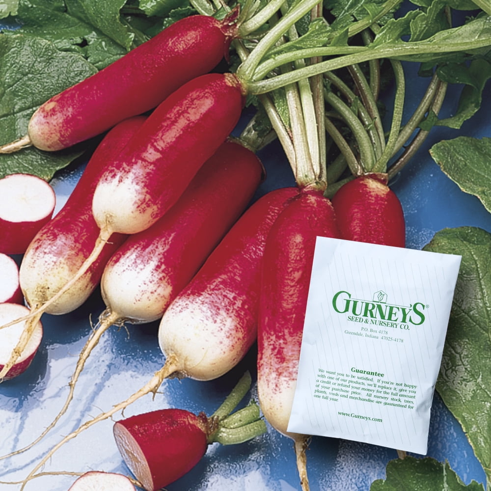 Gurney's French Breakfast Radish Seed Tapes 2 seed tapes measuring 7.5 feet long each