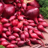Gurney's Red Onion Sets, Includes 80 Bulbs per offer - Walmart.com