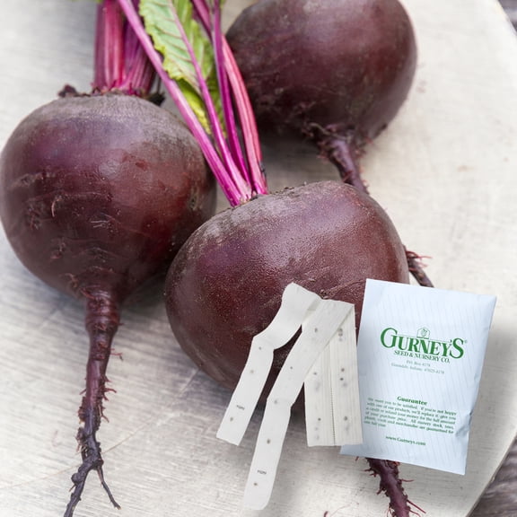 Gurney's Red Titan Hybrid Beet Seed Tapes - 2 seed tapes measuring 7.5 feet long each