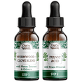 thumbnail image 1 of GuruNanda Paracleanse 2-Step Liquid Supplement - Wormwood & Neem for Digestive Support - 1 fl oz, 1 of 9