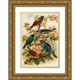 thumbnail image 1 of Gustav Mützel 13x18 Gold Ornate Wood Frame and Double Matted Museum Art Print Titled - The North American Vogelwelt Pl28 (1891), 1 of 4