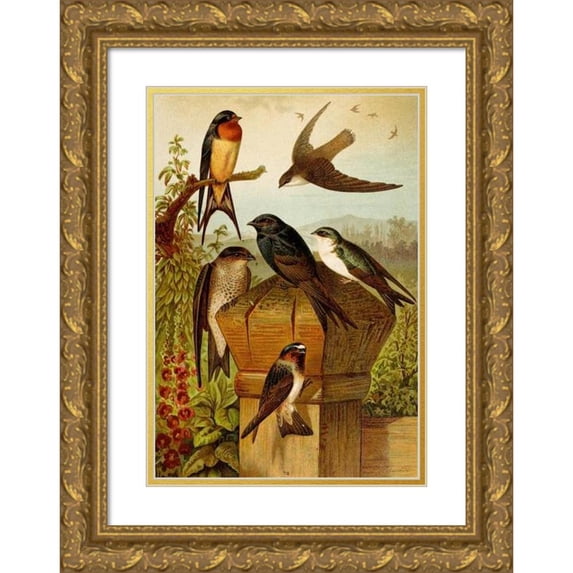 Gustav Mützel 14x18 Gold Ornate Wood Frame and Double Matted Museum Art Print Titled - The North American Vogelwelt Pl19 (1891)