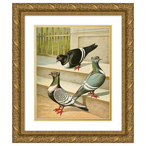 Gustav Prütz 12x14 Gold Ornate Wood Frame and Double Matted Museum Art Print Titled - C. Sturnicollis (1884-1886)