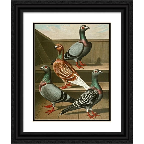 Gustav Prütz 19x24 Black Ornate Framed Double Matted Museum Art Print Titled: C. European Tabellaria (1884-1886)