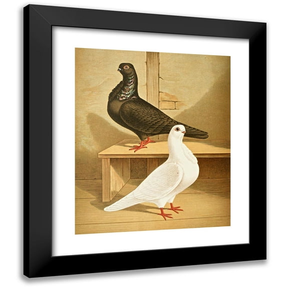 Gustav Prütz 20x24 Black Modern Framed Museum Art Print Titled - C. Bubo Nominated (1884-1886)