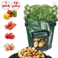 thumbnail image 1 of Gustave 1 Pack Grow Bags Fabric Pots Root Pouch with Handles Flower Vegetable Planting Container Breathable 10 Gallon PE Planter Bags, 1 of 12