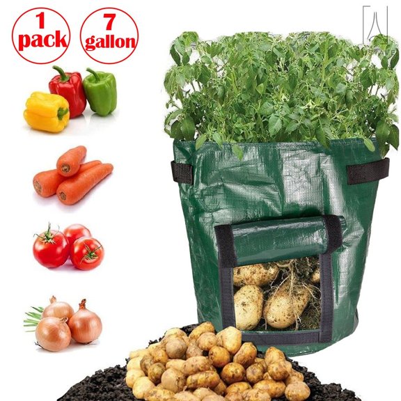 Gustave 1 Pack Grow Bags Fabric Pots Root Pouch with Handles Flower Vegetable Planting Container Breathable 7 Gallon PE Planter Bags