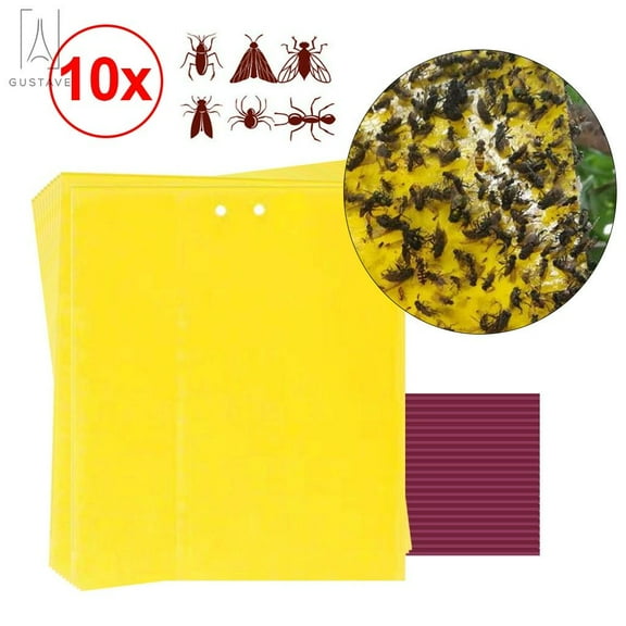 Gustave 10PCS Dual-Sided Yellow Sticky Traps for Flying Plant Insect Like Fungus Gnats, Aphids, Whiteflies, Leafminers, Indoor/Outdoor Use