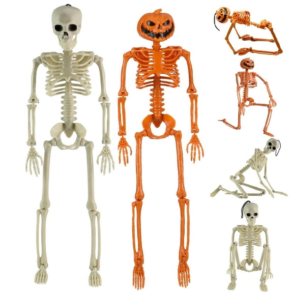 Gustave 15" Halloween Posable Skeleton Human Skull Full Body Skeleton Props with Movable Joints Party Decoration
