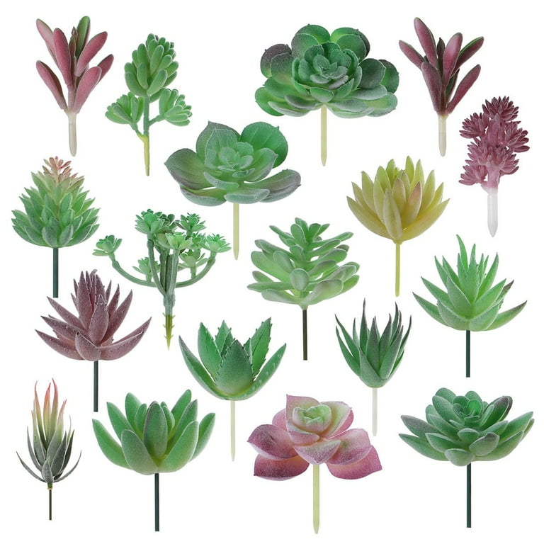 Miniature Artificial Succulent Plant Plastic Floral Garden Desert Flower Decor Miniature Artificial Succulent Plant Plastic Floral Garden Desert Flower Decor