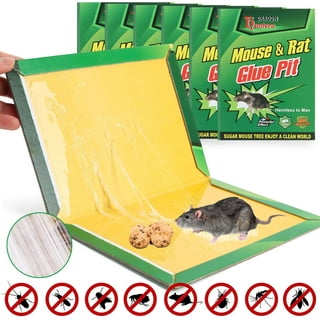 LULUCATCH Sticky Mouse Traps, 6 Pack Large Glue Traps, Pre-Baited Heavy  Duty Non-Toxic Bulk Glue Boards Mouse Traps Indoor for Mice, Snakes, Rat