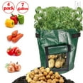 thumbnail image 1 of Gustave 4 Pack Grow Bags Fabric Pots Root Pouch with Handles Flower Vegetable Planting Container Breathable 7 Gallon PE Planter Bags, 1 of 12