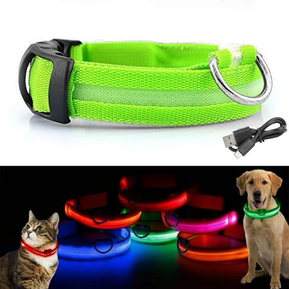 Gustave LED Dog Cat Collar Nylon Glow Flashing Light Up Night Safety Reflective Pet Collars USB Rechargeable with 3 Glowing Modes "Green, S"