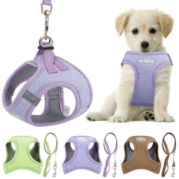 Gustave No Pull Dog Harness and Leash Set for Small Medium Dogs Reflective Pet Vest Step-in Adjustable Soft Mesh Cat Puppy Walking Harness with Leash "Green, S"