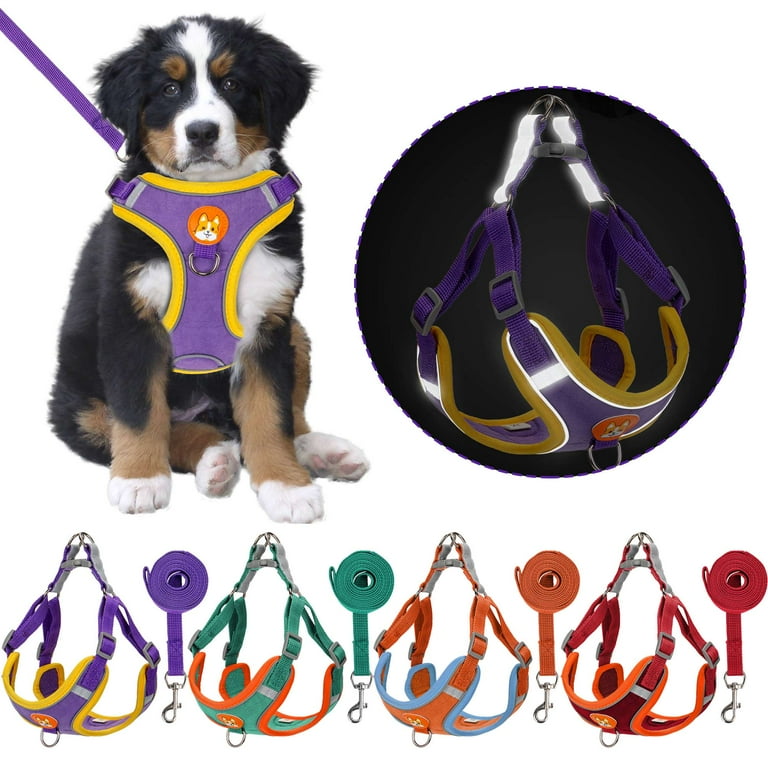 Gustave No Pull Pet Harness and Leash Set Reflective Dog Harnesses