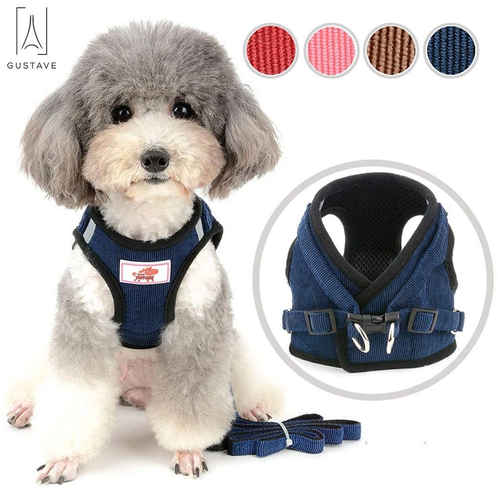 Thumbnail for Corduroy Shirt Hazards For Dogs