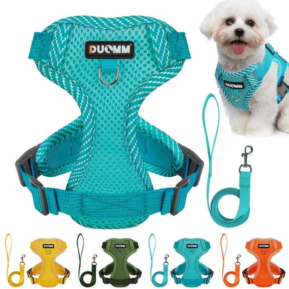 Gustave No Pull Dog Harness and Leash Set Reflective Adjustable Soft Mesh Step in Pet Harness Vest for Small Medium Large Dogs Cats Walking Training - Blue, M