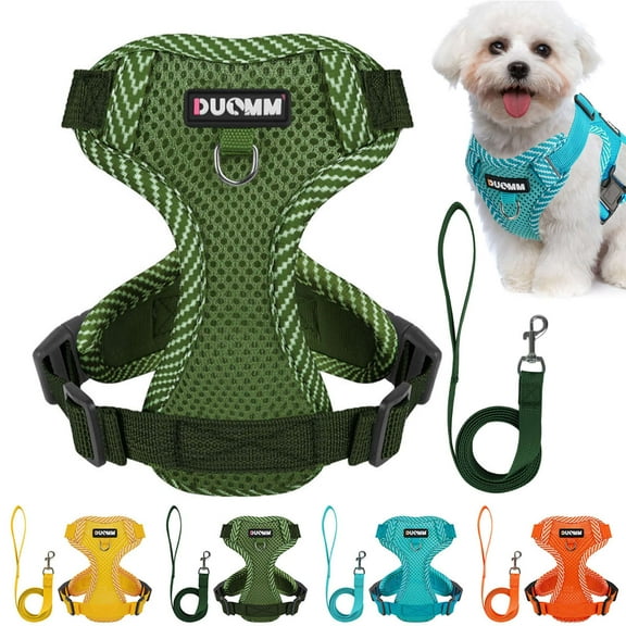 Gustave No Pull Dog Harness and Leash Set Reflective Adjustable Soft Mesh Step in Pet Harness Vest for Small Medium Large Dogs Cats Walking Training - Green, M