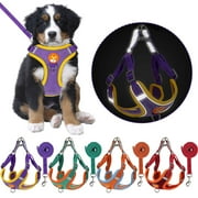 Gustave No Pull Pet Harness and Leash Set Reflective Dog Harnesses Adjustable Soft Padded Pet Puppy Vest No Choke Chest Harness for Small Medium Large Dogs (Blue,S)