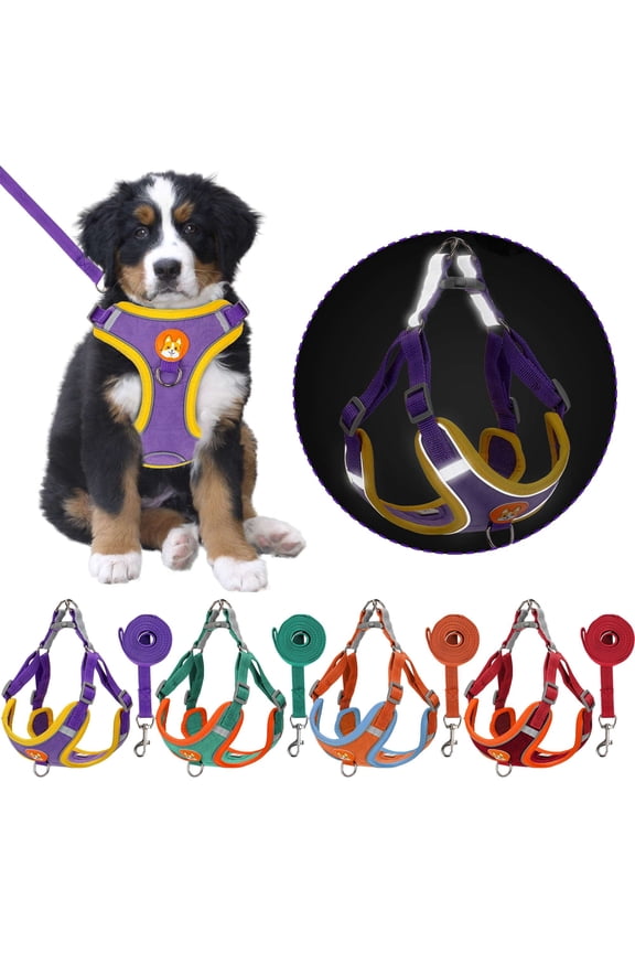 No Pull Pet Harness and Leash Set Reflective Dog Harnesses Adjustable Soft Padded Pet Puppy Vest No Choke Chest Harness for Small Medium Large Dogs (Red,M)