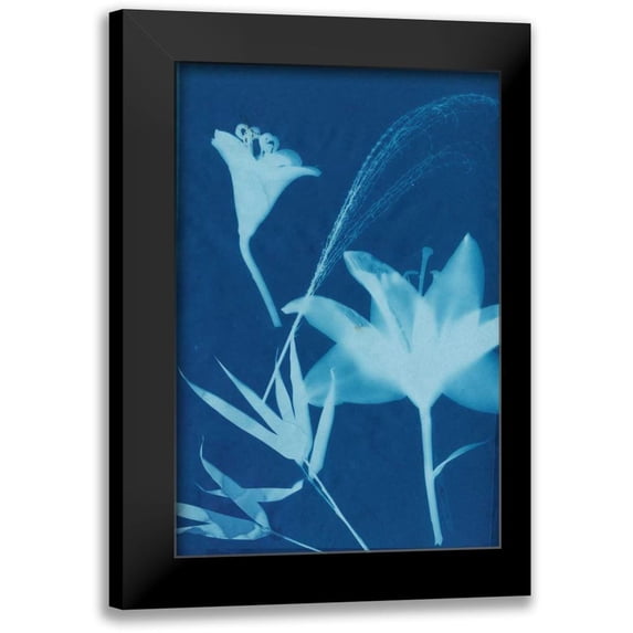 Guthrie, Jenna 17x24 Black Modern Framed Museum Art Print Titled - Cyanotype No.19