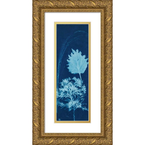 Guthrie, Jenna 9x18 Gold Ornate Wood Framed with Double Matting Museum Art Print Titled - Cyanotype No.13