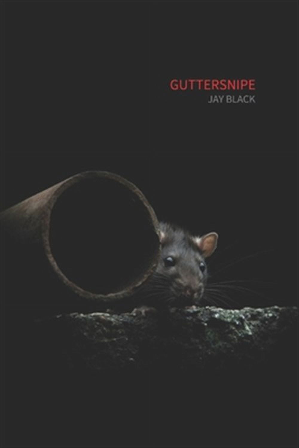Guttersnipe (Paperback)