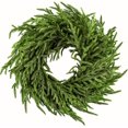 thumbnail image 1 of Guvpev 24" Norfolk Pine Wreath for Front Door, Real Touch Norfolk Pine Christmas Wreath, Artificial Green Wreath Greenery Realistic Wreath Holiday Decorations for Walls, Windows, Porches, Home Decor, 1 of 8