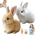 thumbnail image 1 of Guvpev 2Pcs Bunby - My Realistic Bunny Toys, Interactive Realistic Rabbit Toys That Moves, Jumping, Twitching & Shaking Ears, Easter Bunny Stuffed Animal, Easter Decorations Bunny Dolls, Unique Gifts, 1 of 7
