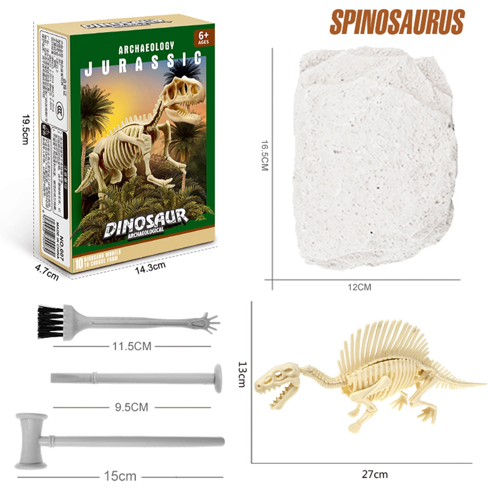 Dinosaur fossil gifts hotsell