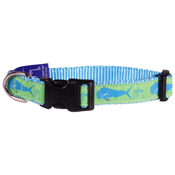 Guy Harvey Lime Green and Blue Bull Dolphin Dog Collars