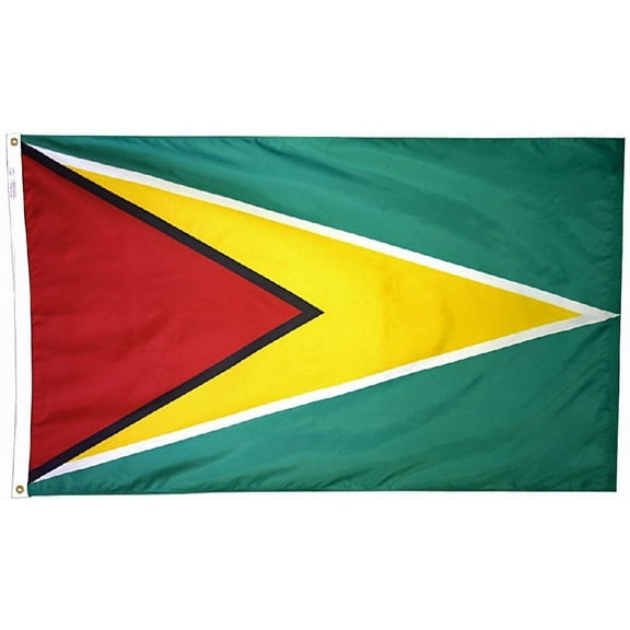 Guyana - 2'X3' Nylon Flag