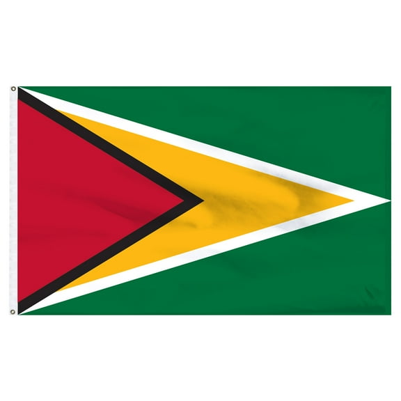 Guyana 2ft x 3ft Nylon Flag - Outdoor