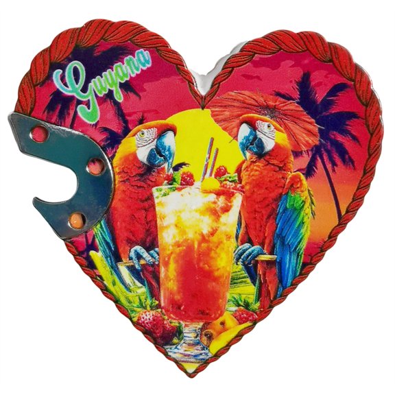 Guyana 3D Fridge Magnet Souvenir Gift,Resin Handmade Refrigerator Magnet Home Decoration Collection