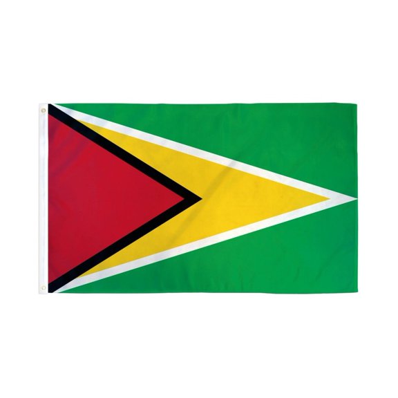 Guyana Flag 3x5ft Poly