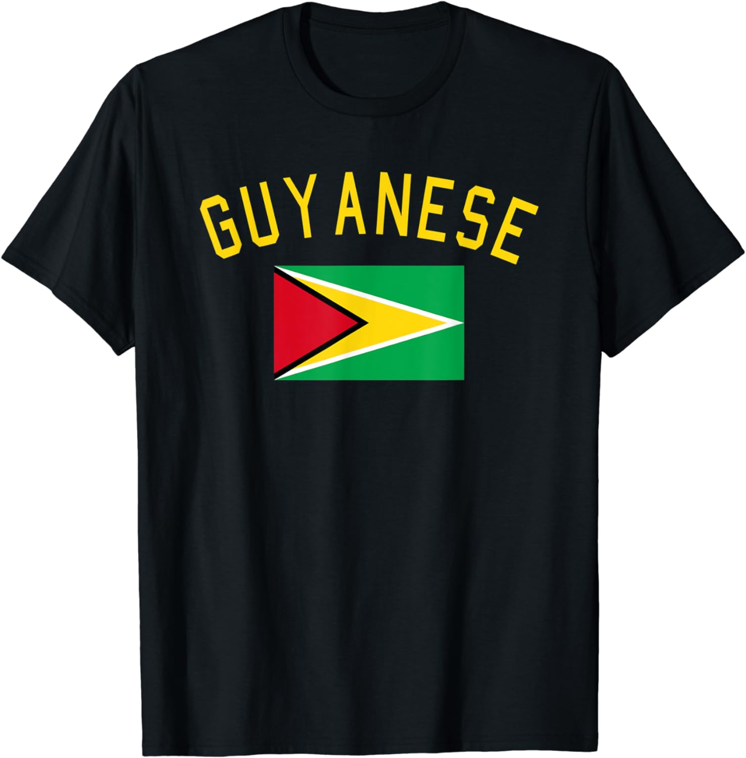 Guyana Bandiera Nazionale Libro Da Colorare Per Listruzione E Lapprendimento Colori E